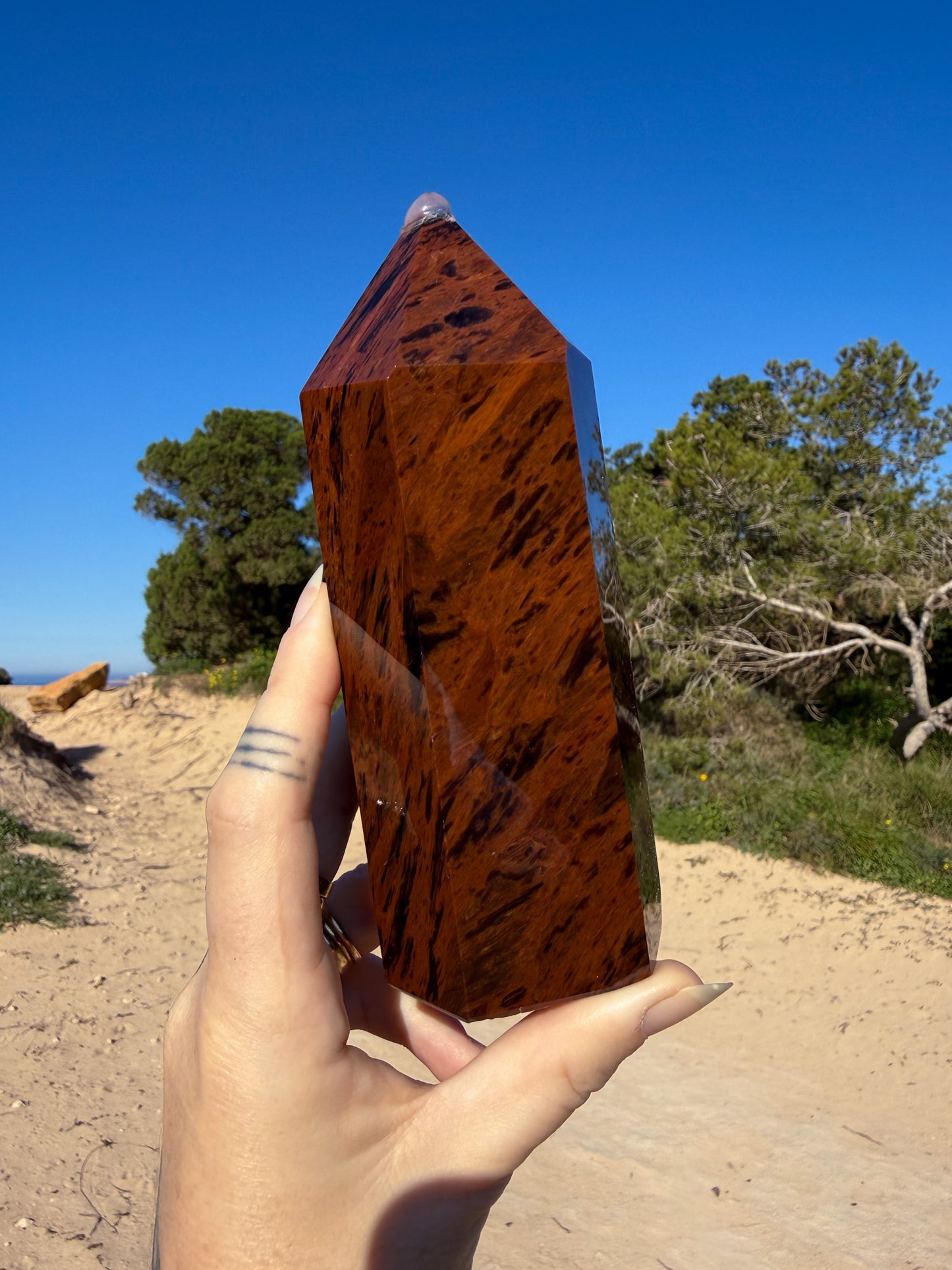 Hand holding a polished dark red crystal tower with black mottled patterns against a bright blue sky and sandy coastal landscape background.