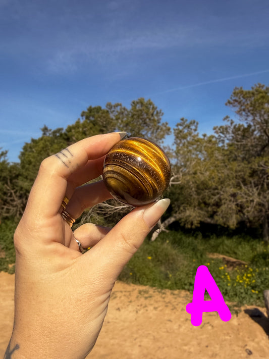 Hand holding a tiger's eye crystal sphere with bright gold banding against a natural outdoor background