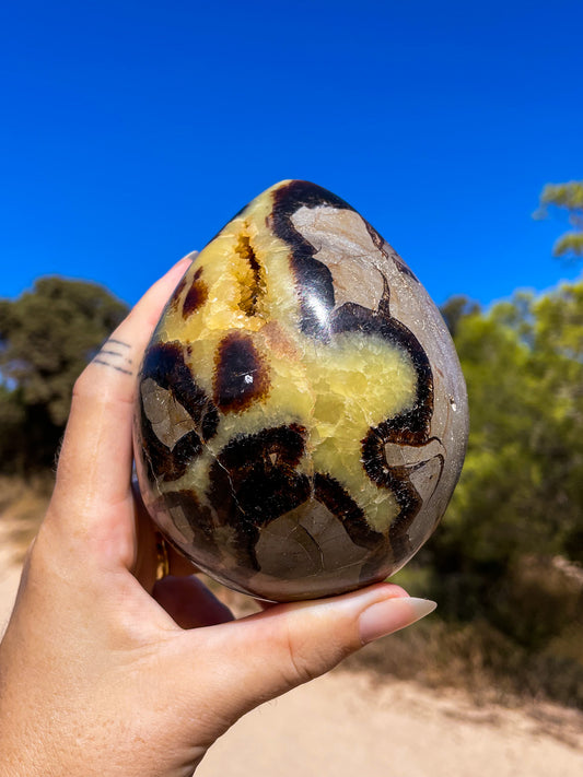 Septarian Eggs, dino eggs