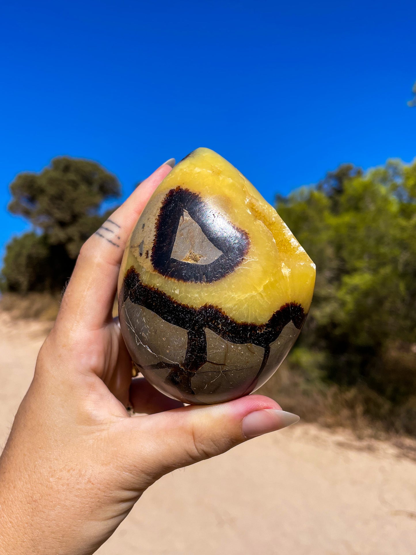 Septarian Eggs, dino eggs