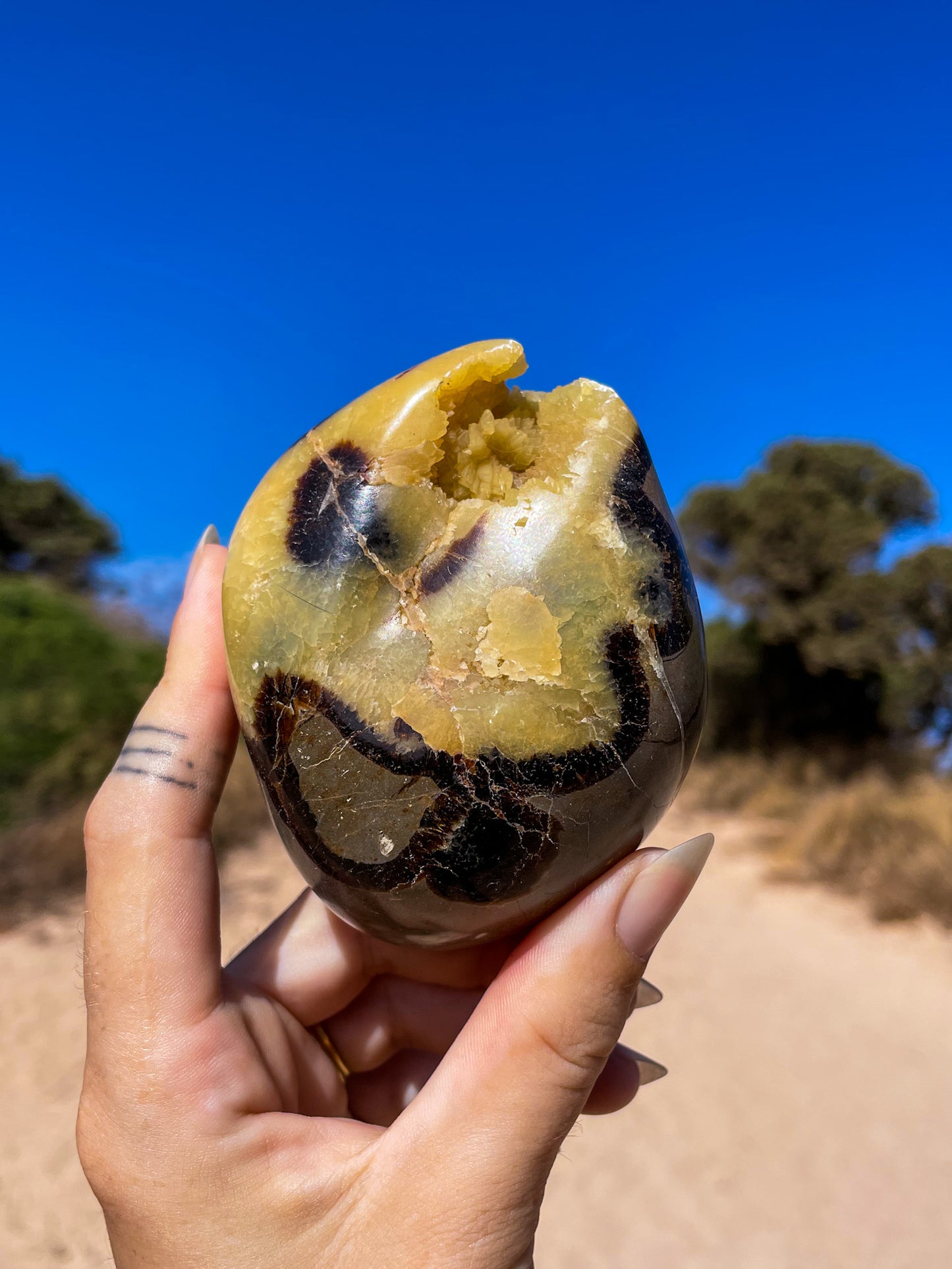 Septarian Eggs, dino eggs