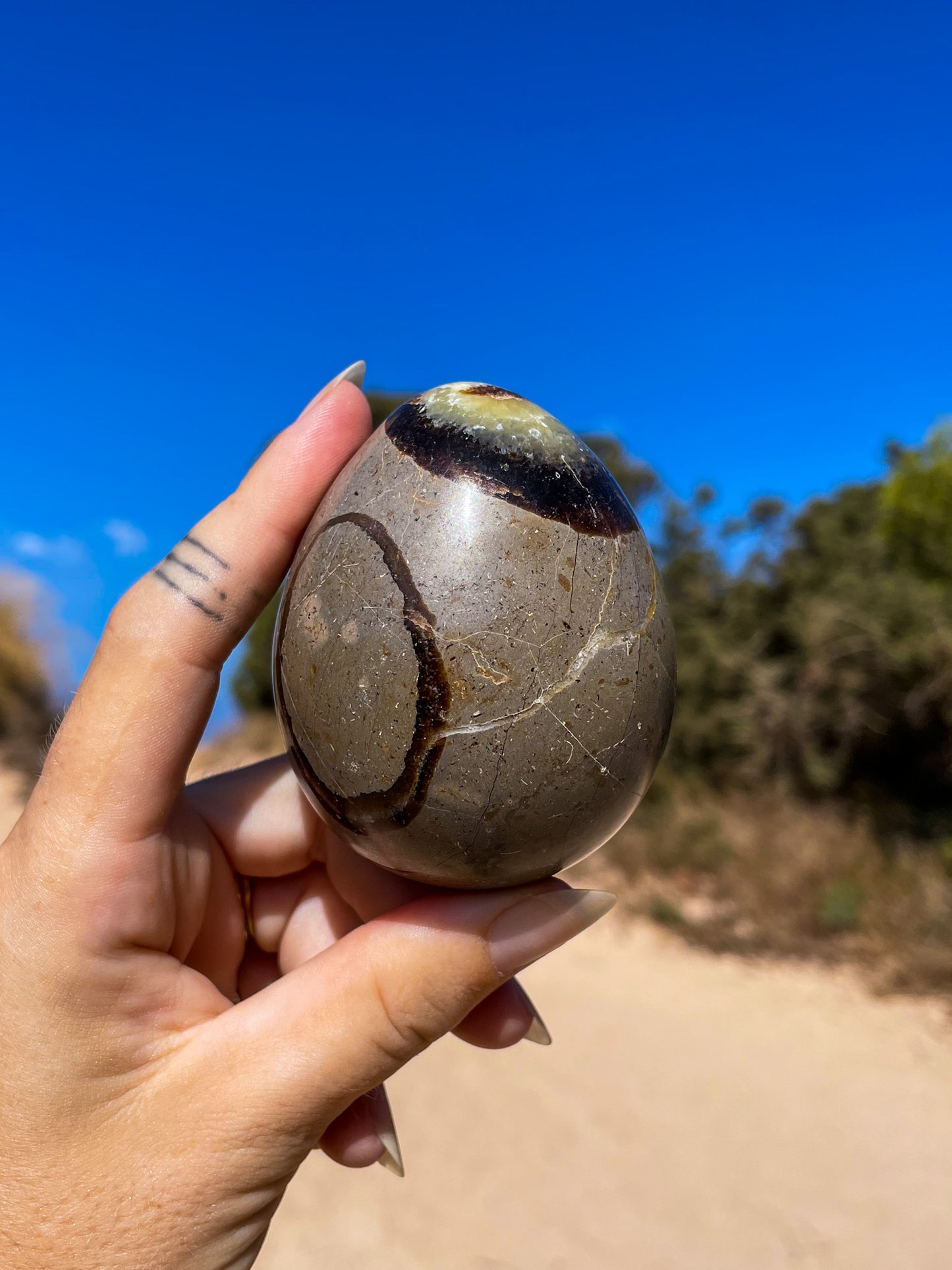 Septarian Eggs, dino eggs
