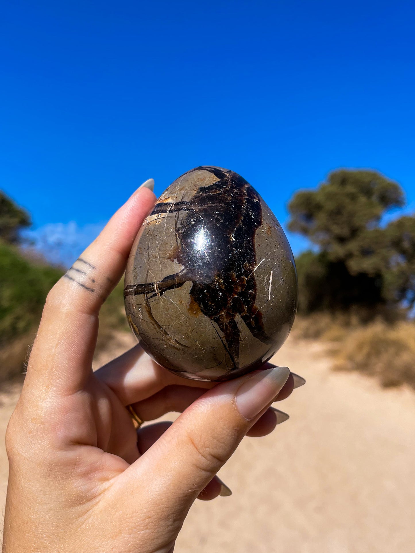 Septarian Eggs, dino eggs