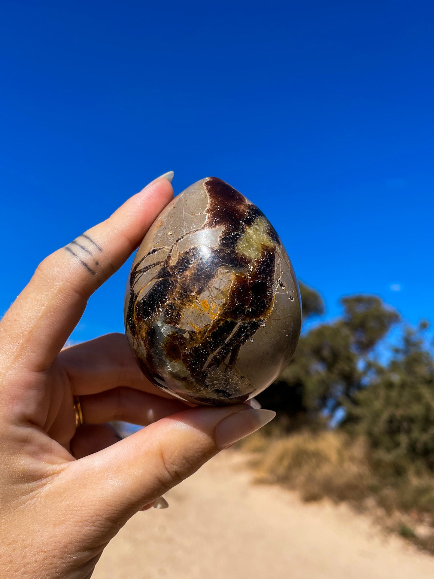 Septarian Eggs, dino eggs