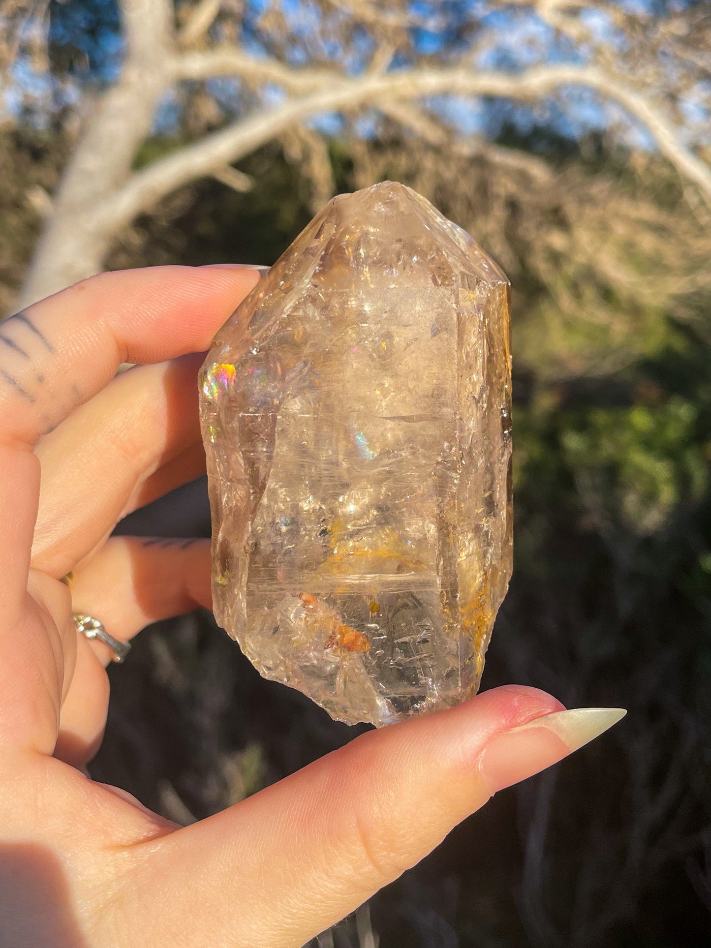 Skeletal Quartz, Elestial quartz, high quality piece from Brazil with MANY rainbows
