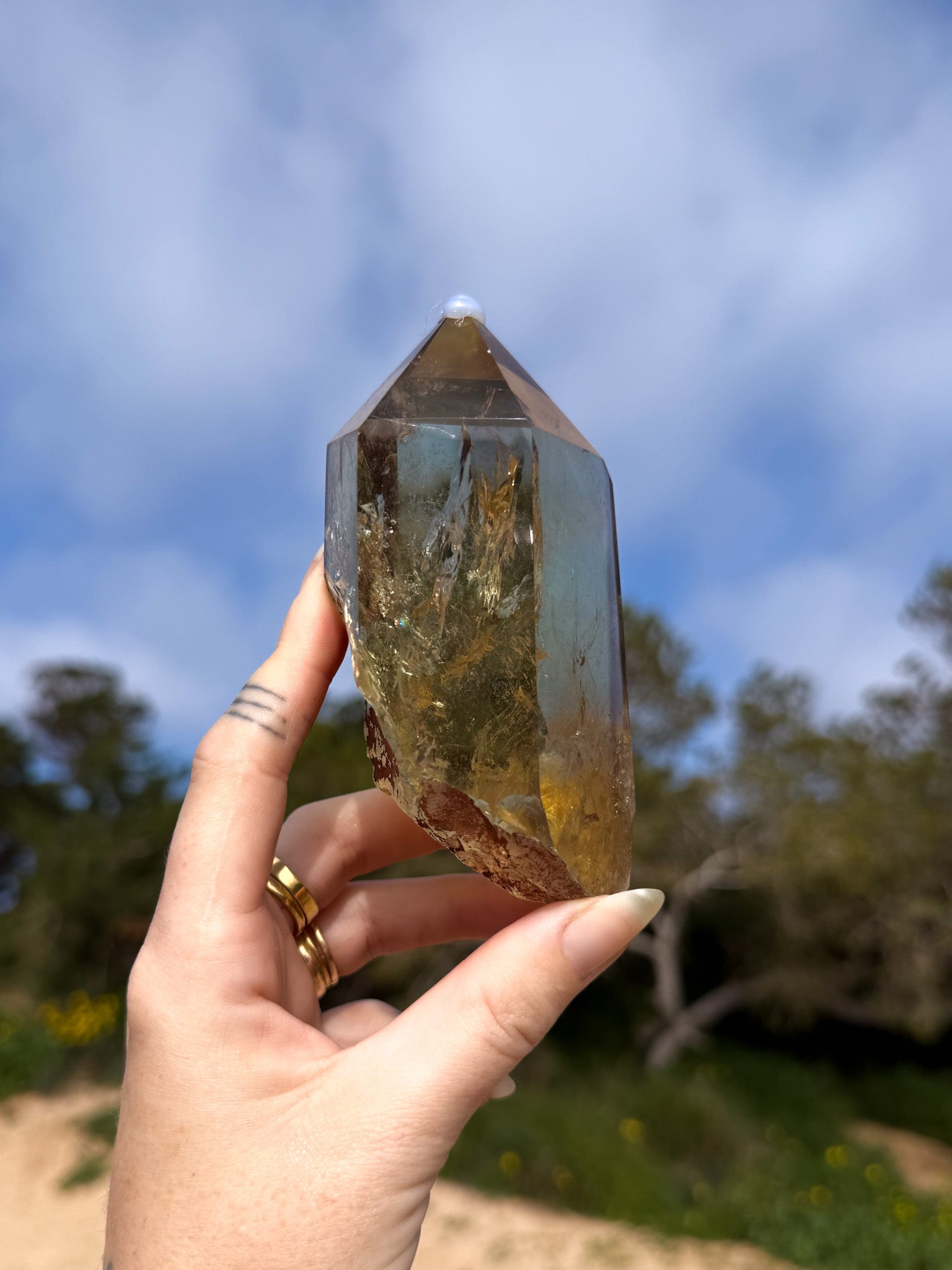 Hand holding golden yellow Brazilian citrine crystal point with a natural outdoor background