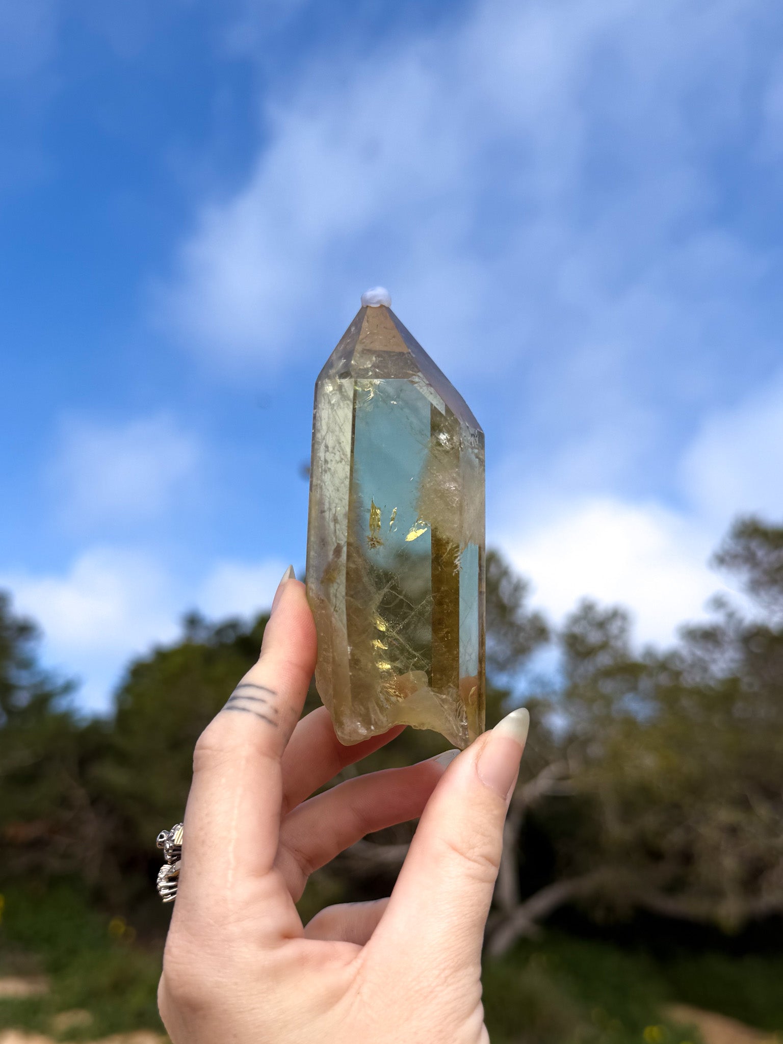 Hand holding golden yellow Brazilian citrine crystal point with a natural outdoor background