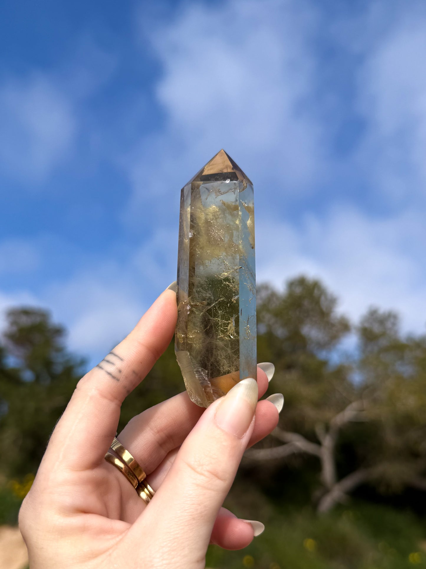 Hand holding golden yellow Brazilian citrine crystal point with a natural outdoor background