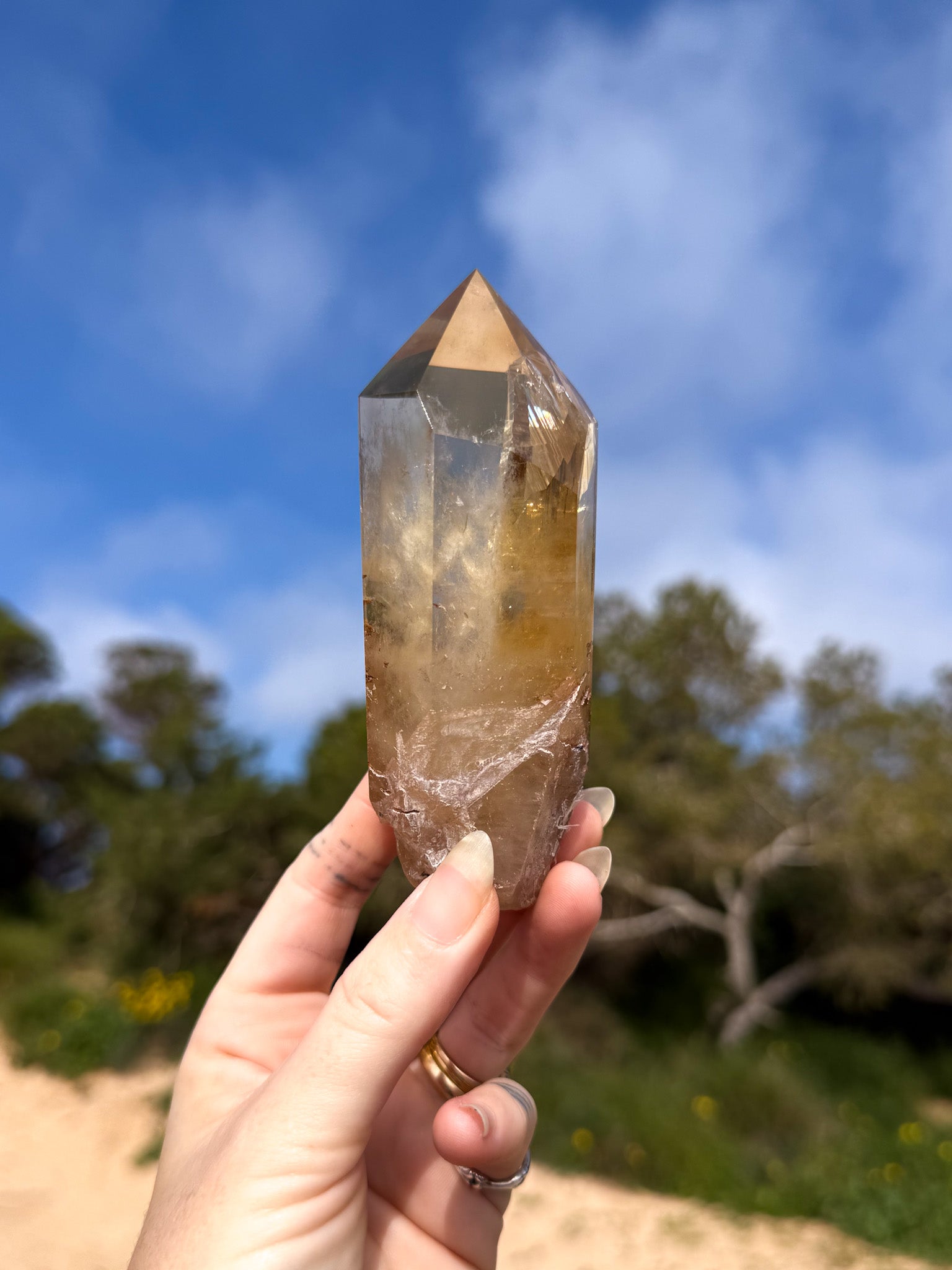 Hand holding golden yellow Brazilian citrine crystal point with a natural outdoor background