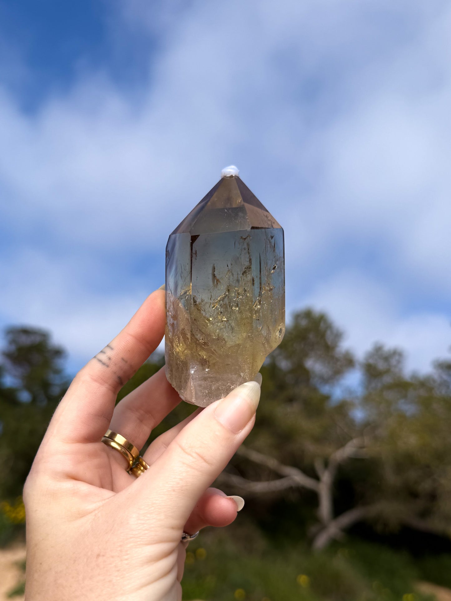 Hand holding golden yellow Brazilian citrine crystal point with a natural outdoor background