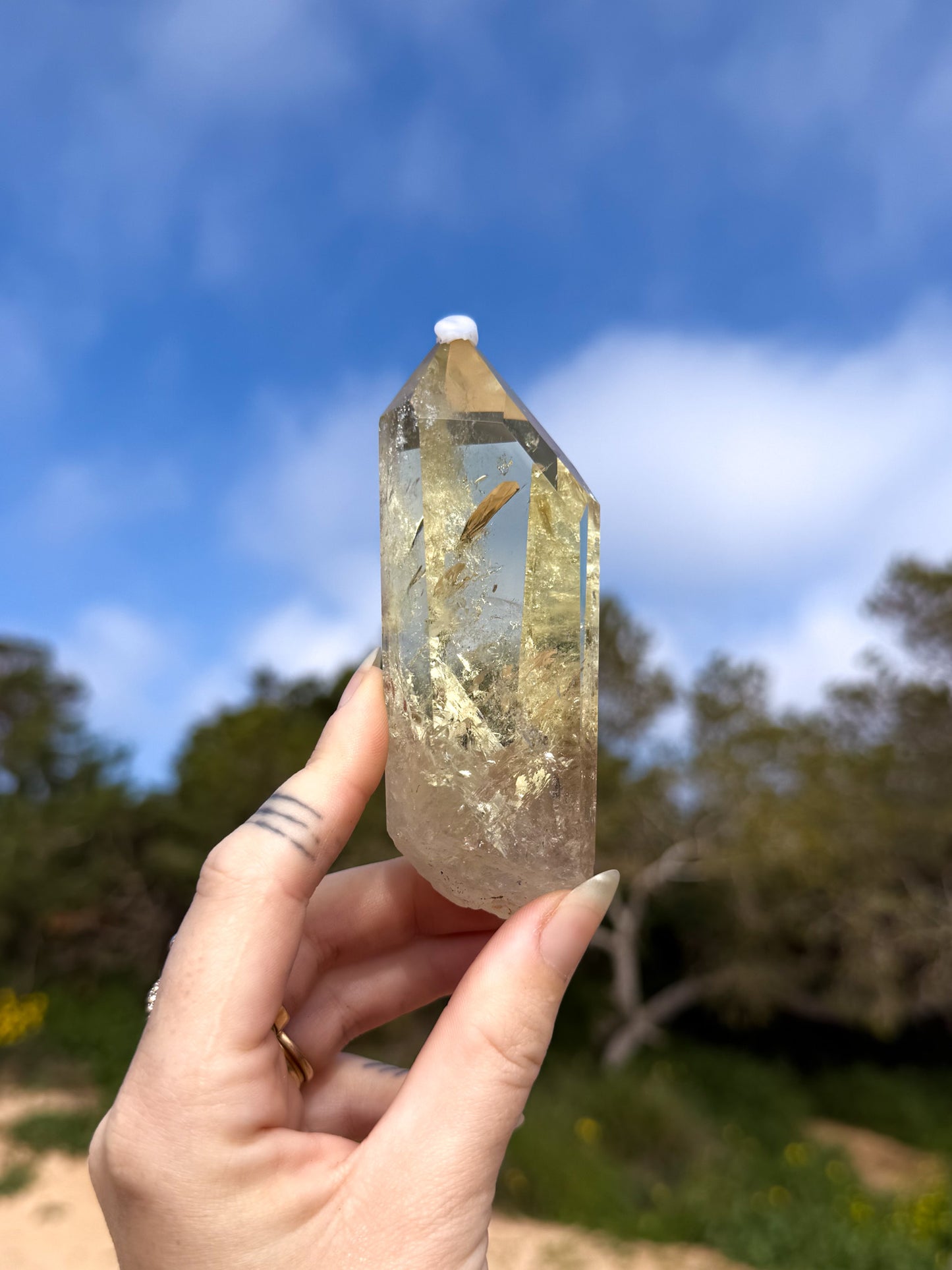 Hand holding golden yellow Brazilian citrine crystal point with a natural outdoor background