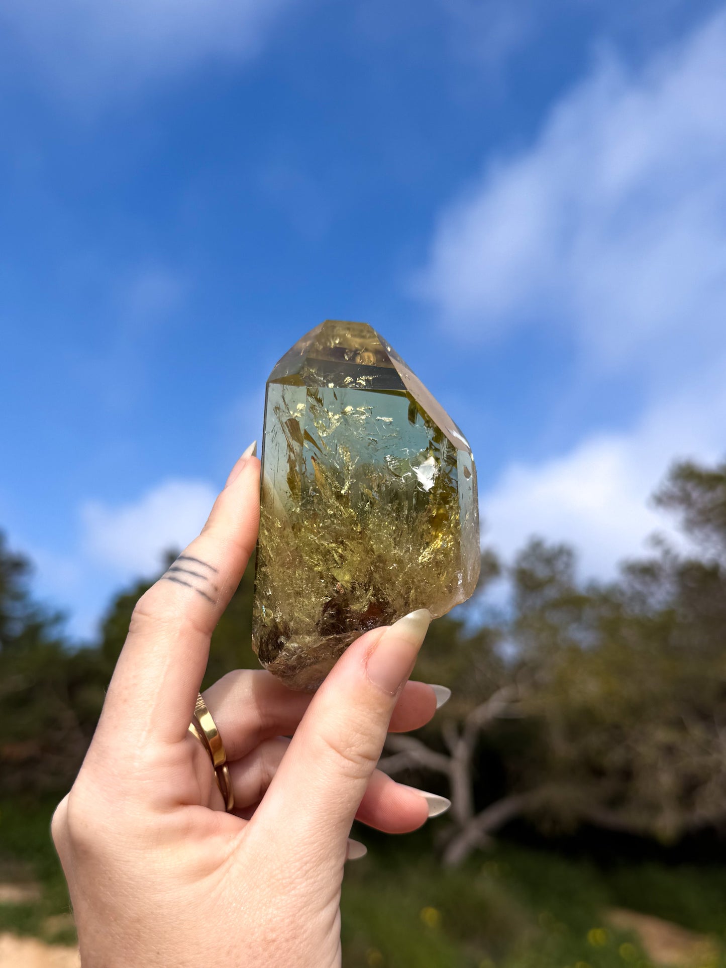 Hand holding golden yellow Brazilian citrine crystal point with a natural outdoor background