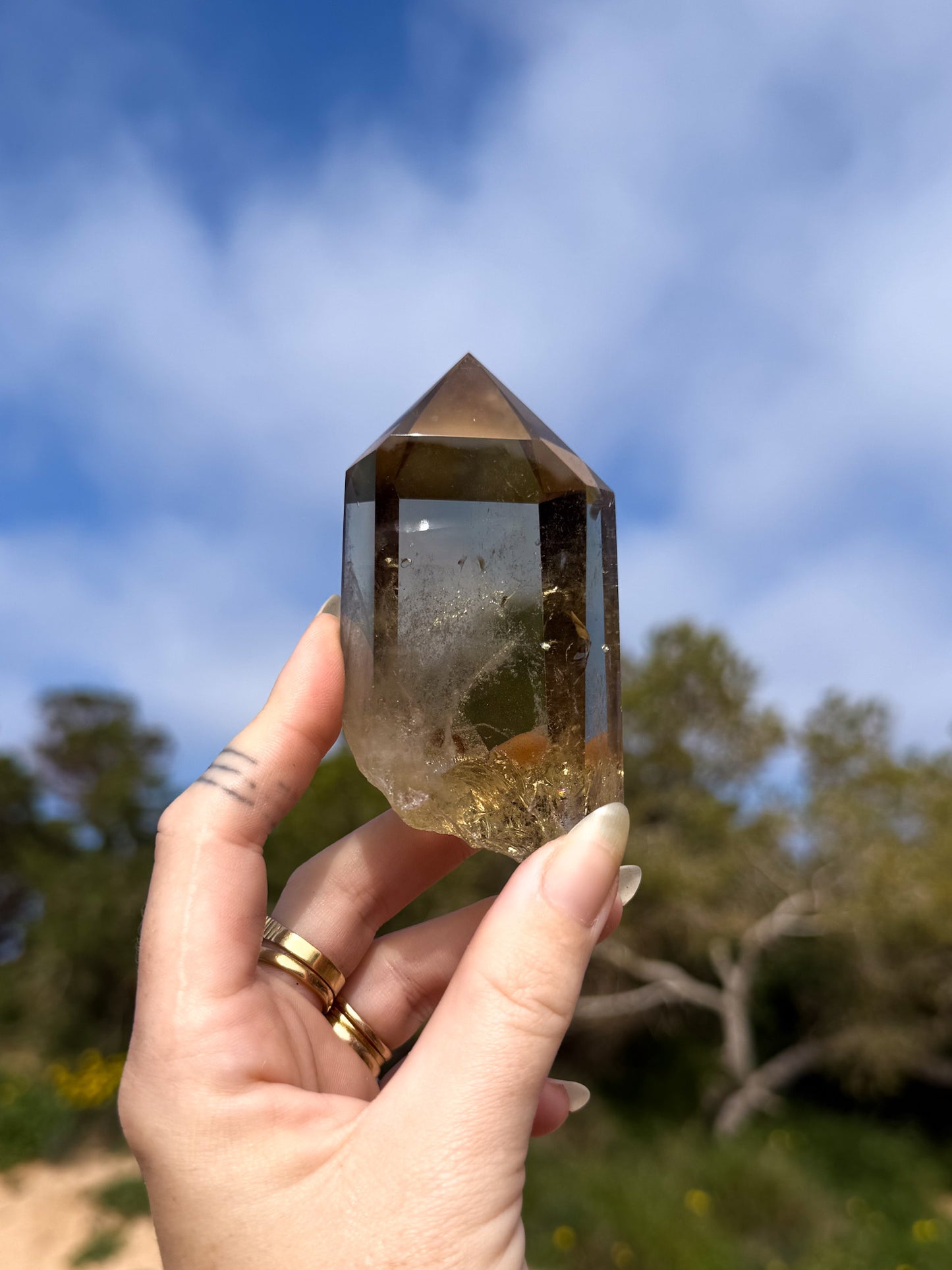 Hand holding golden yellow Brazilian citrine crystal point with a natural outdoor background
