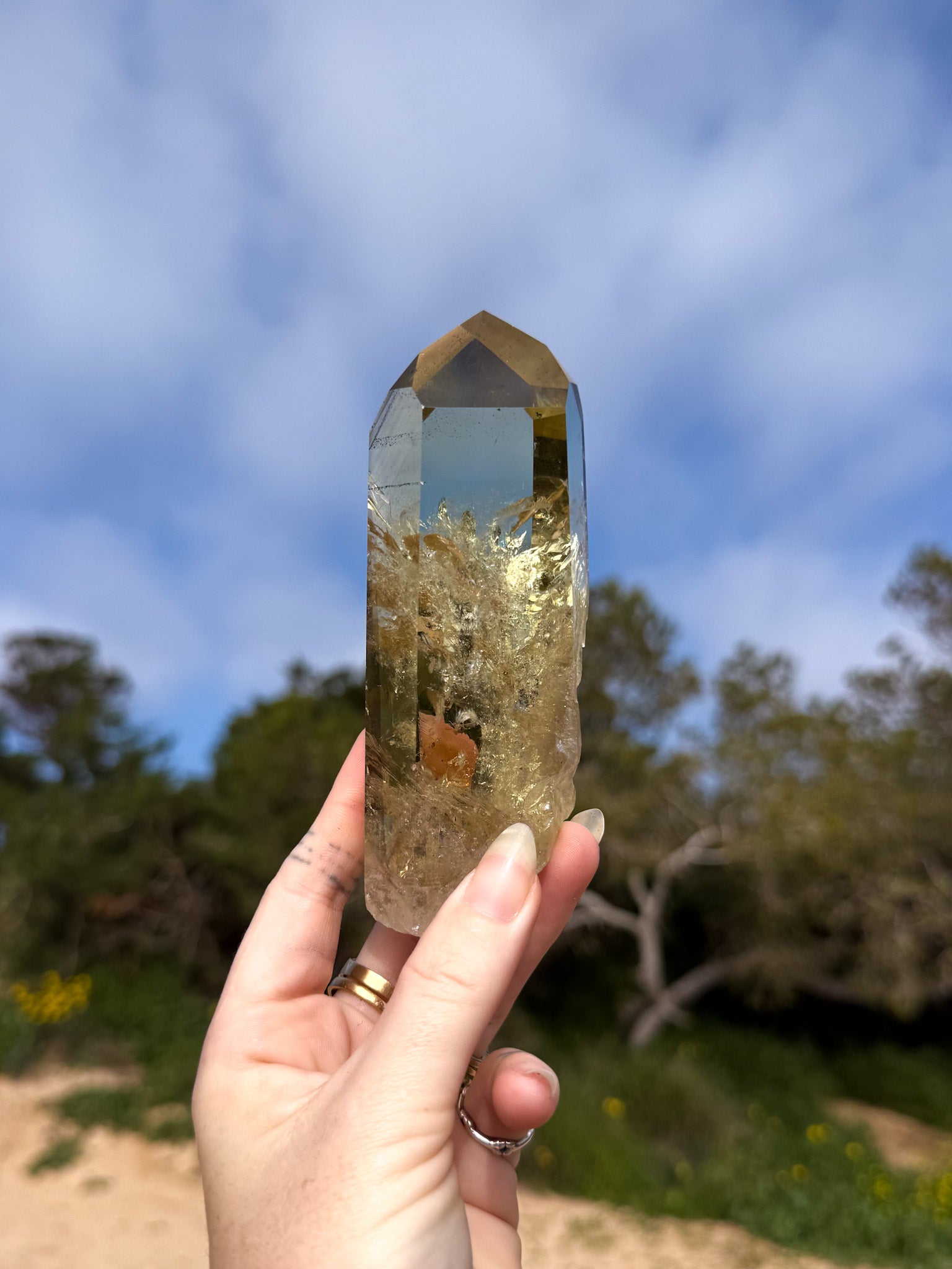 Hand holding golden yellow Brazilian citrine crystal point with a natural outdoor background