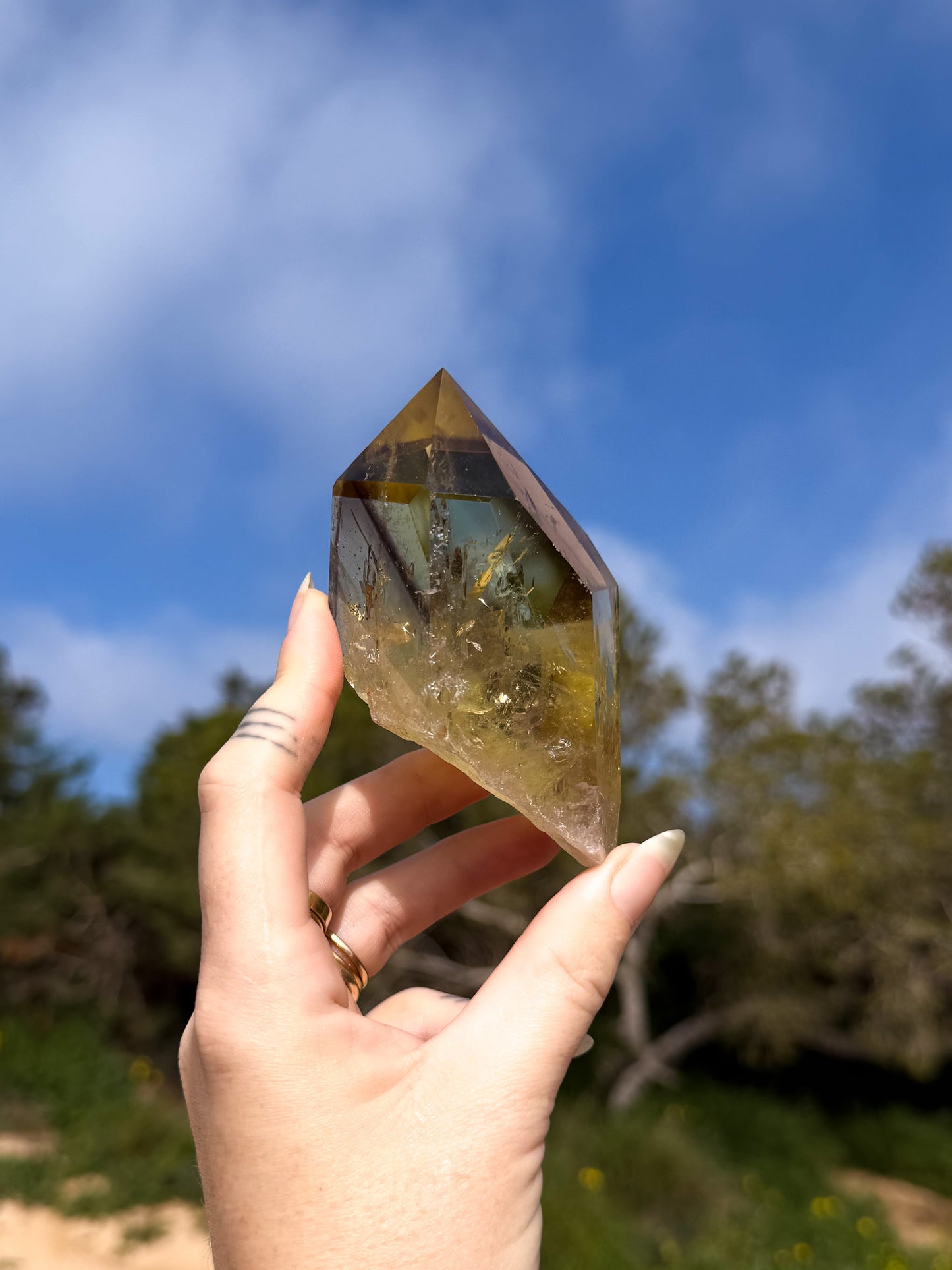 Hand holding golden yellow Brazilian citrine crystal point with a natural outdoor background