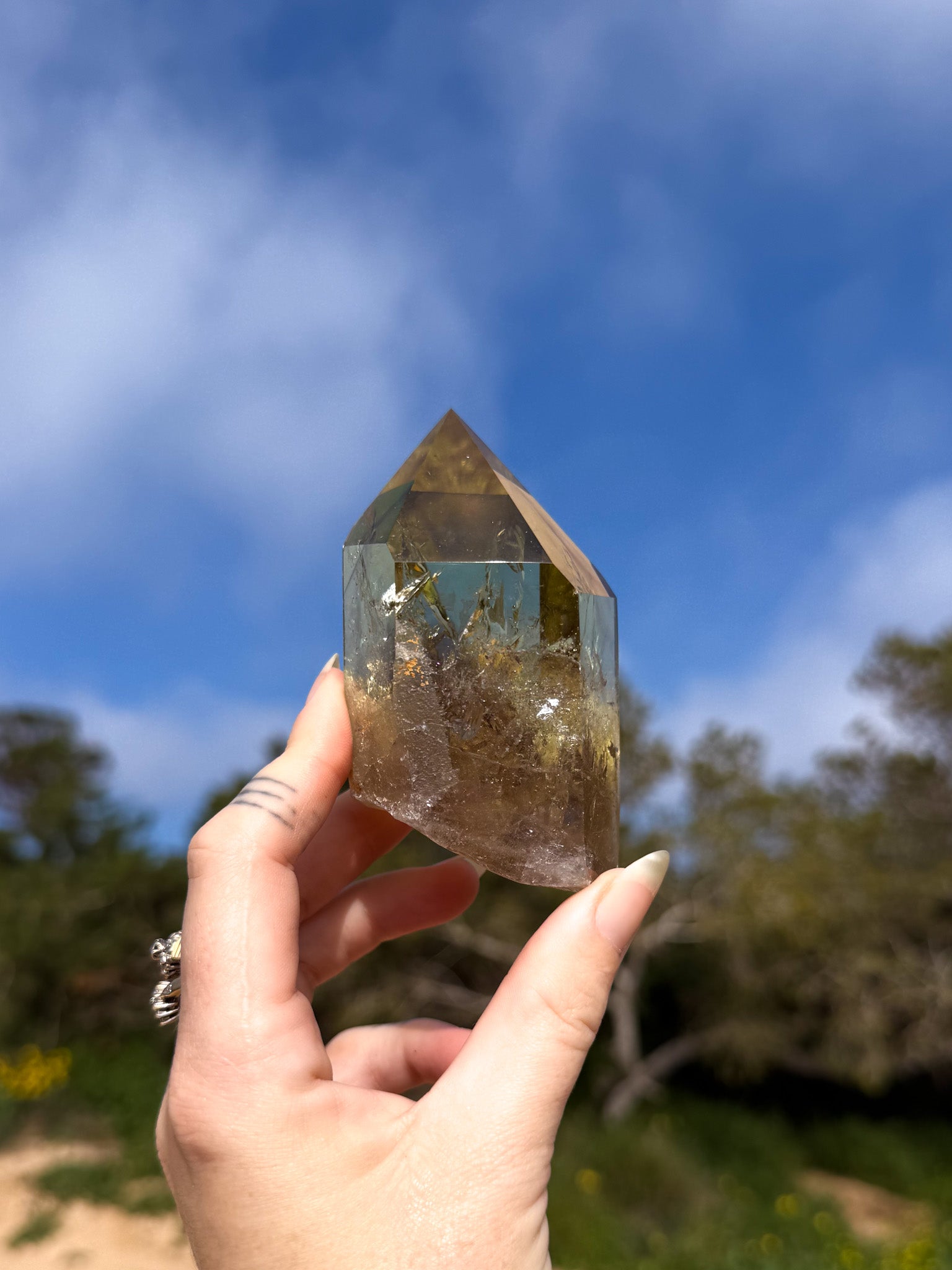Hand holding golden yellow Brazilian citrine crystal point with a natural outdoor background