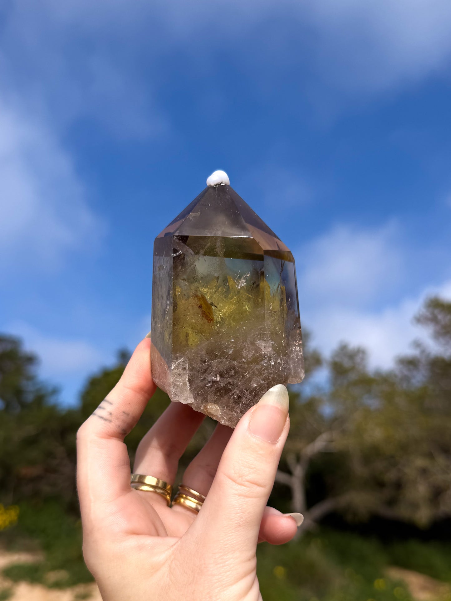 Hand holding golden yellow Brazilian citrine crystal point with a natural outdoor background