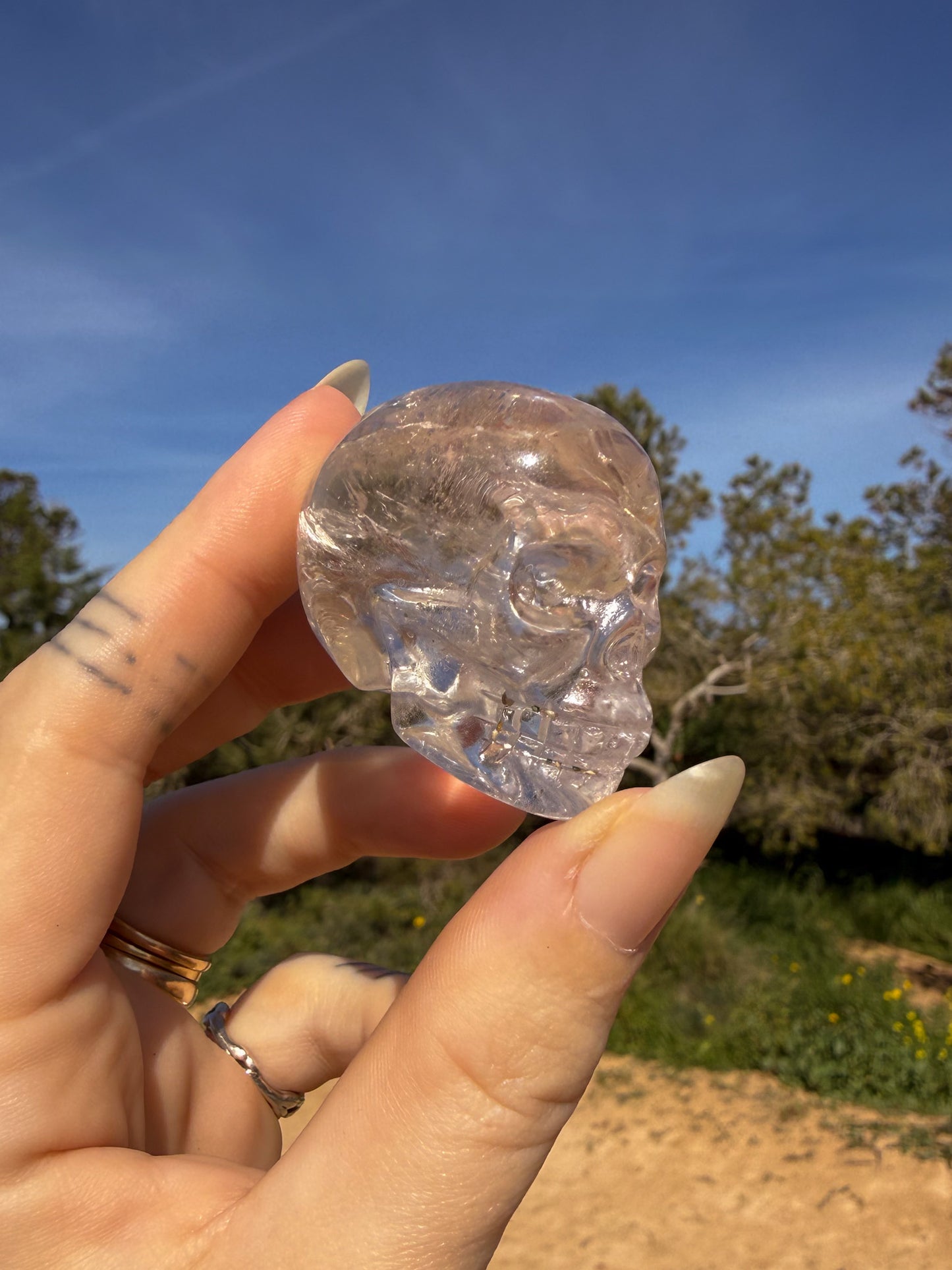 Hand holding clear quartz crystal skull-shaped carving against a natural background