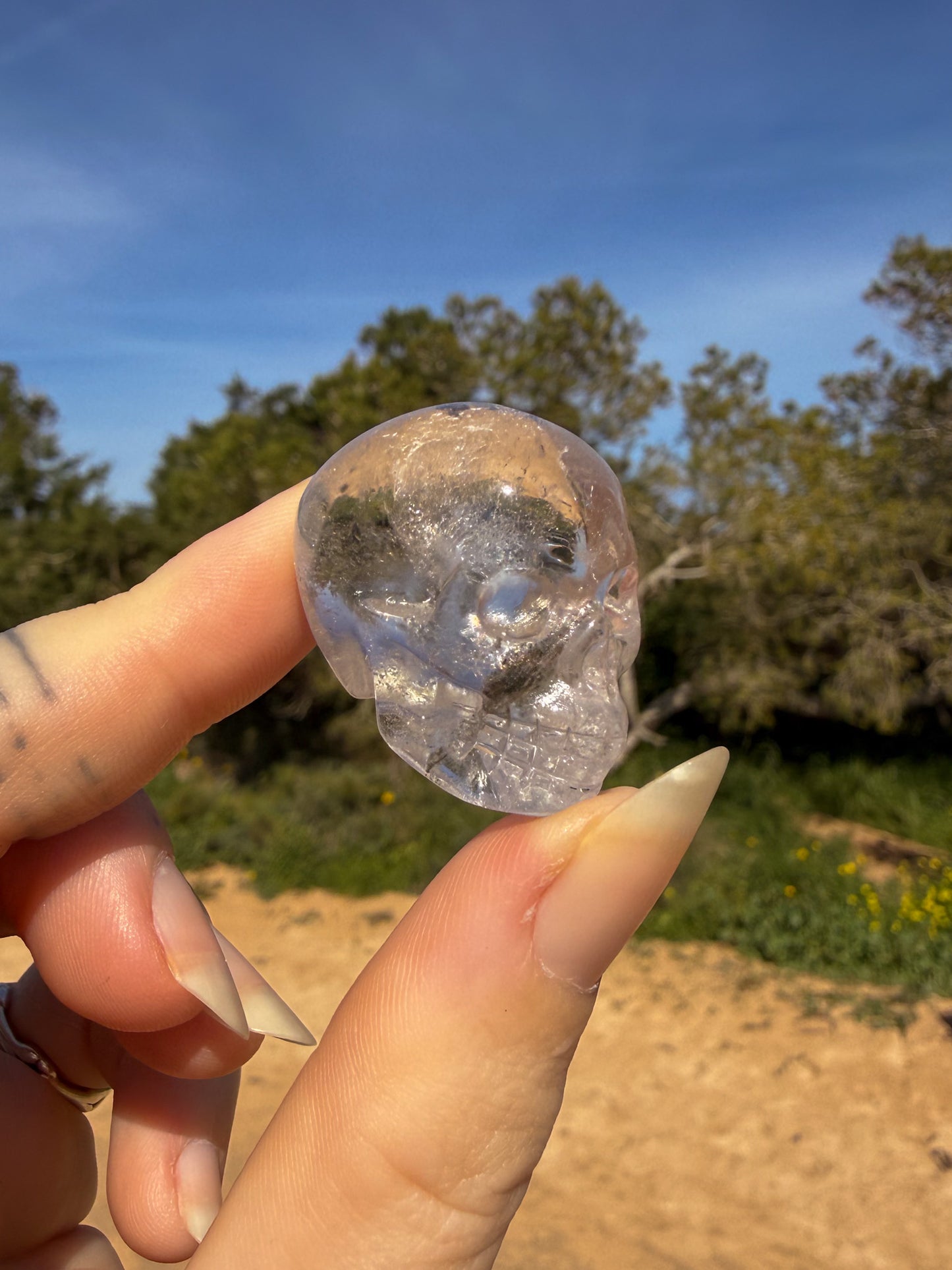 Hand holding clear quartz crystal skull-shaped carving against a natural background