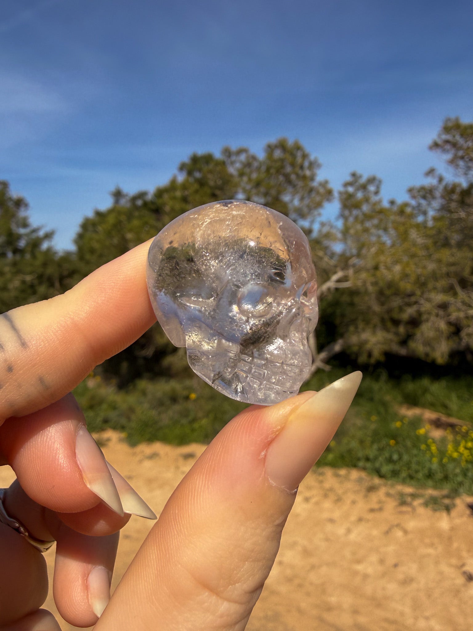 Hand holding clear quartz crystal skull-shaped carving against a natural background