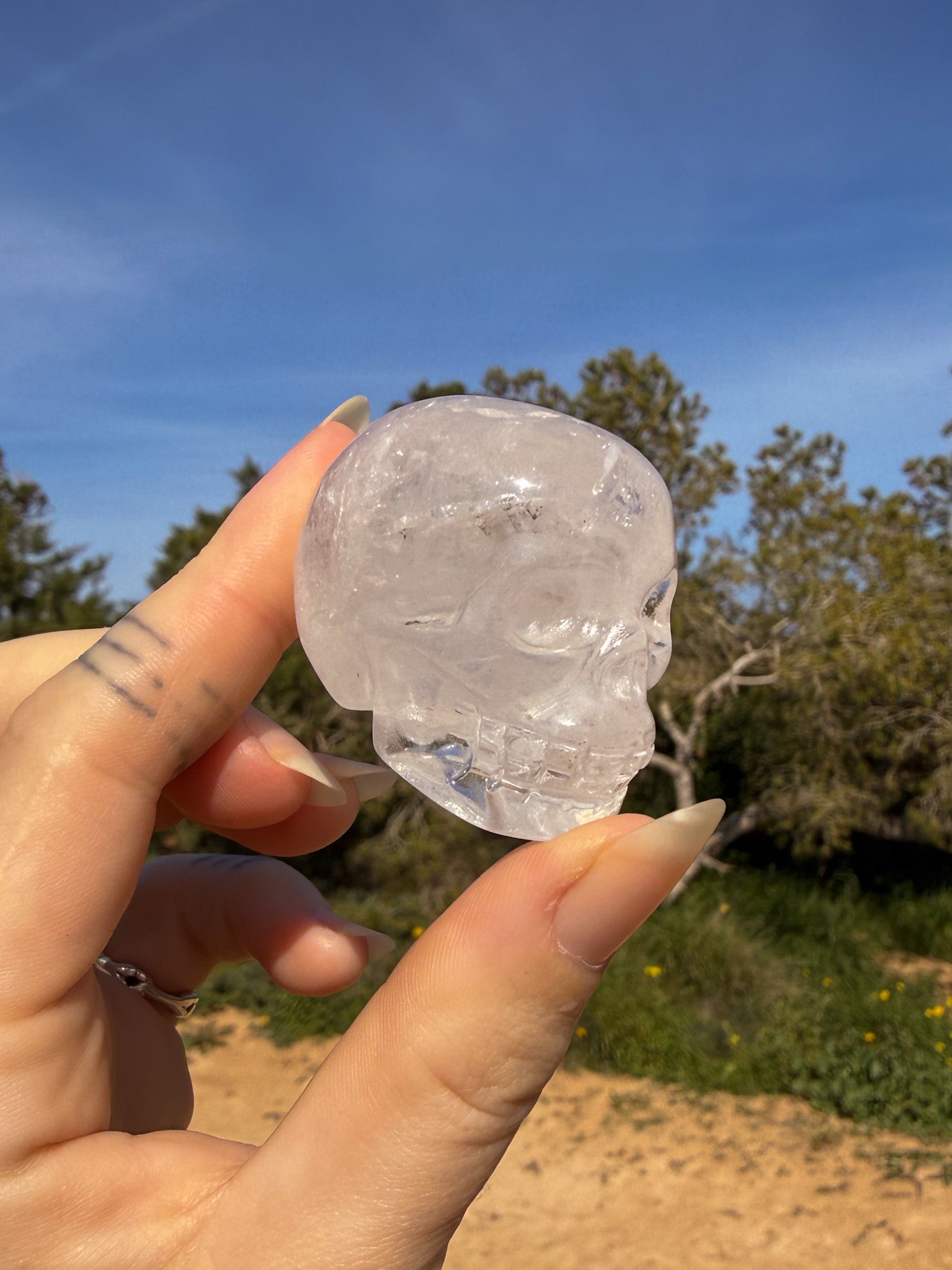 Hand holding clear quartz crystal skull-shaped carving against a natural background
