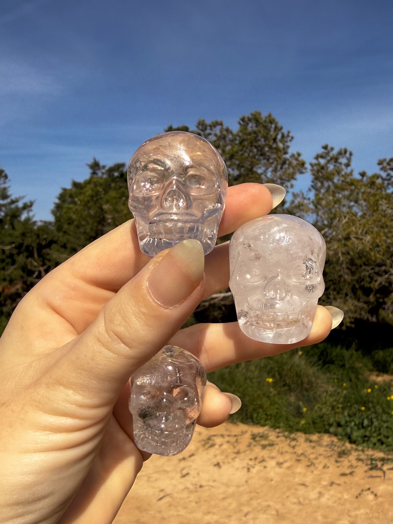 Hand holding clear quartz crystal skull-shaped carvings against a natural background