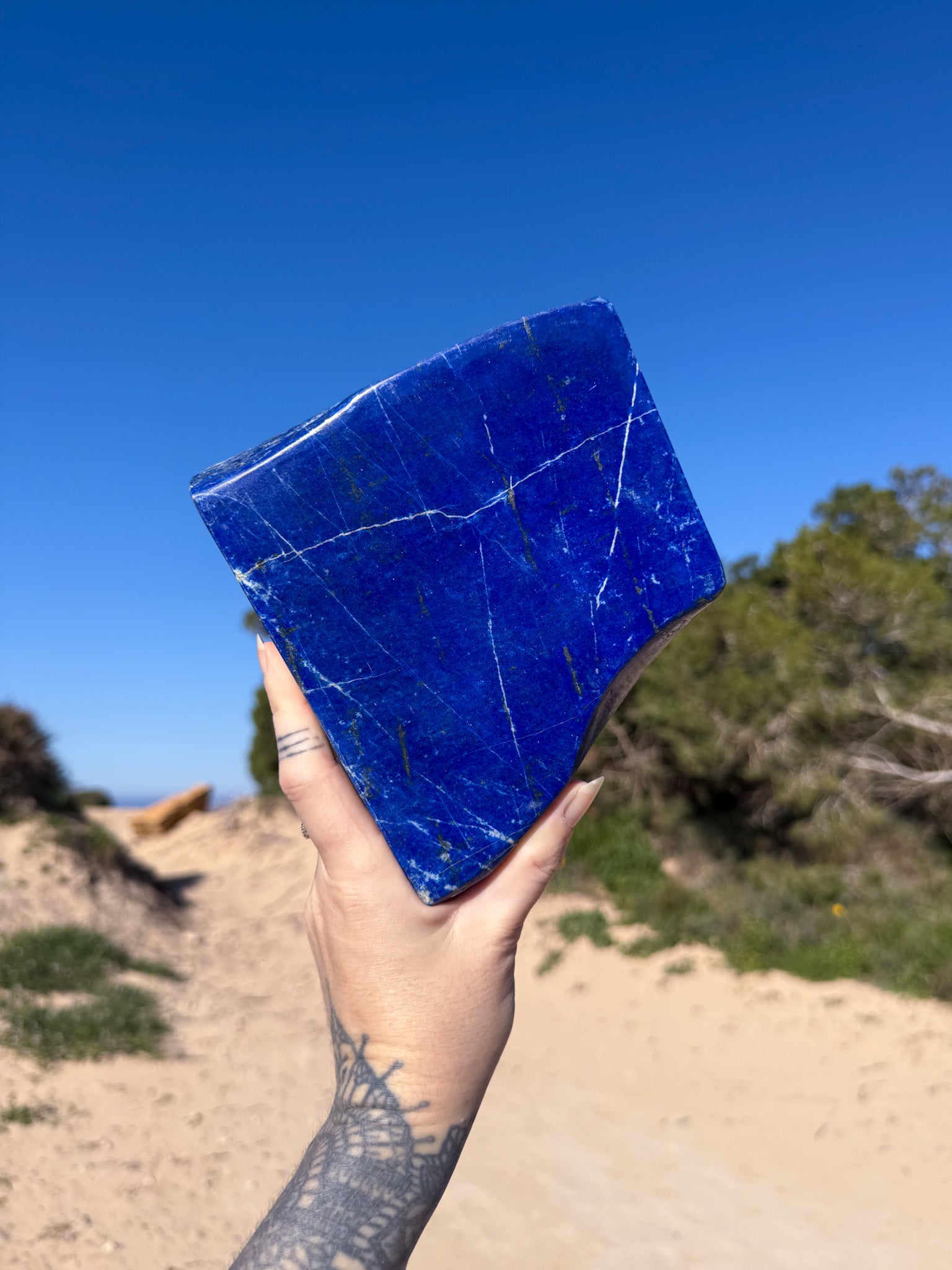 Hand holding a polished deep blue lapis lazuli freeform stone with natural white and gold veining against a bright blue sky and sandy coastal landscape background.