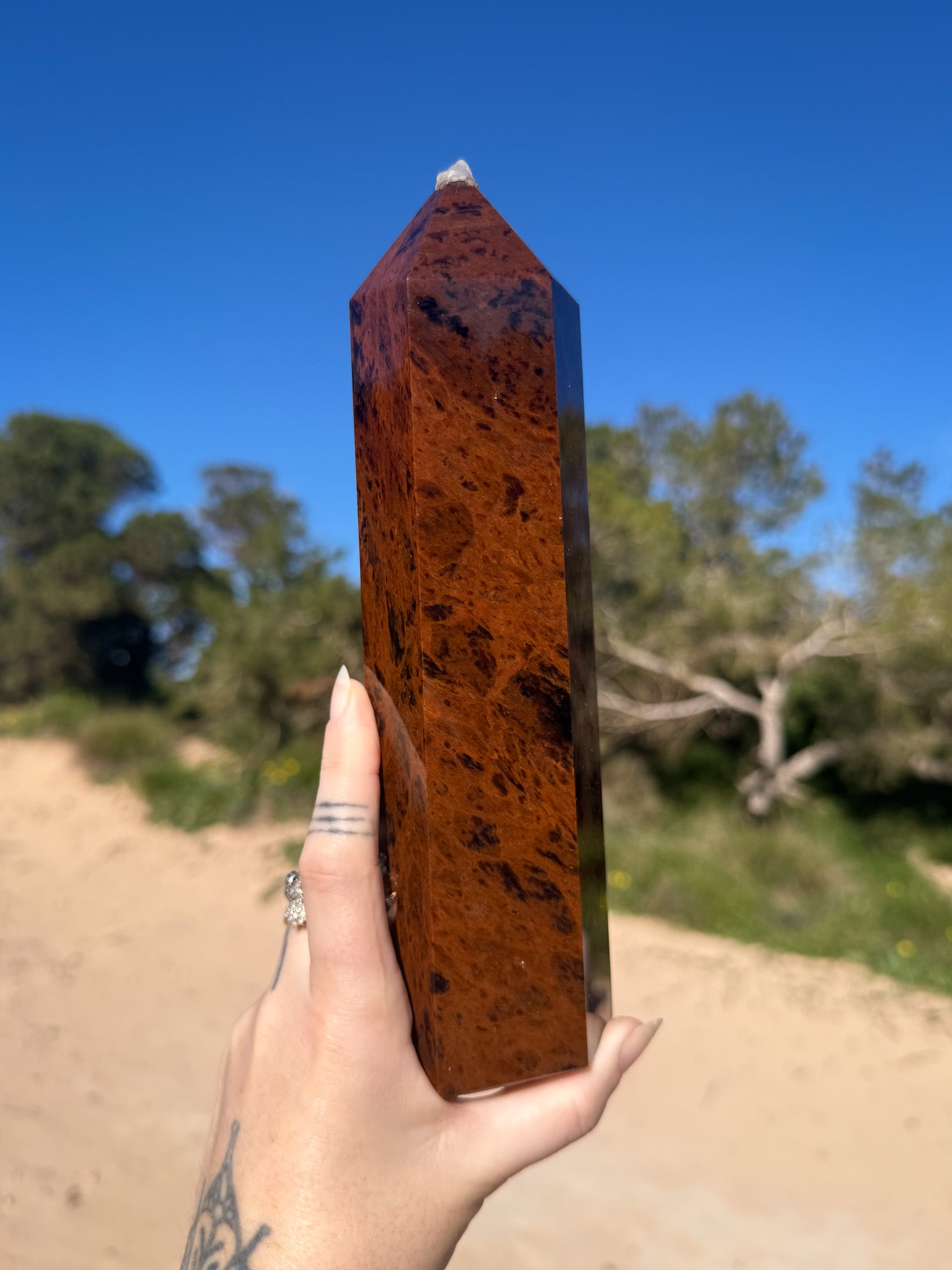 Hand holding a polished dark red crystal tower with black mottled patterns against a bright blue sky and sandy coastal landscape background.