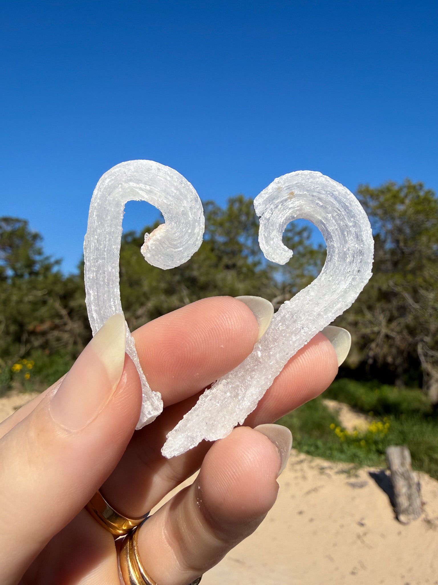Two hands holding matching white sparkly raw rams horm selenite crystal against a bright blue sky with sandy ground and green trees in the background.