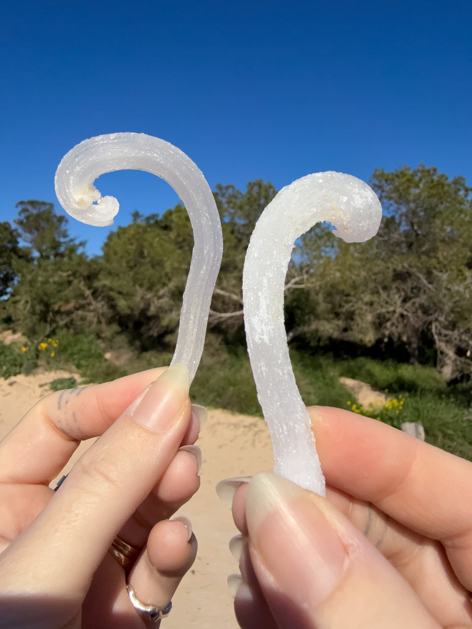 Two hands holding matching white sparkly raw rams horm selenite crystal against a bright blue sky with sandy ground and green trees in the background.