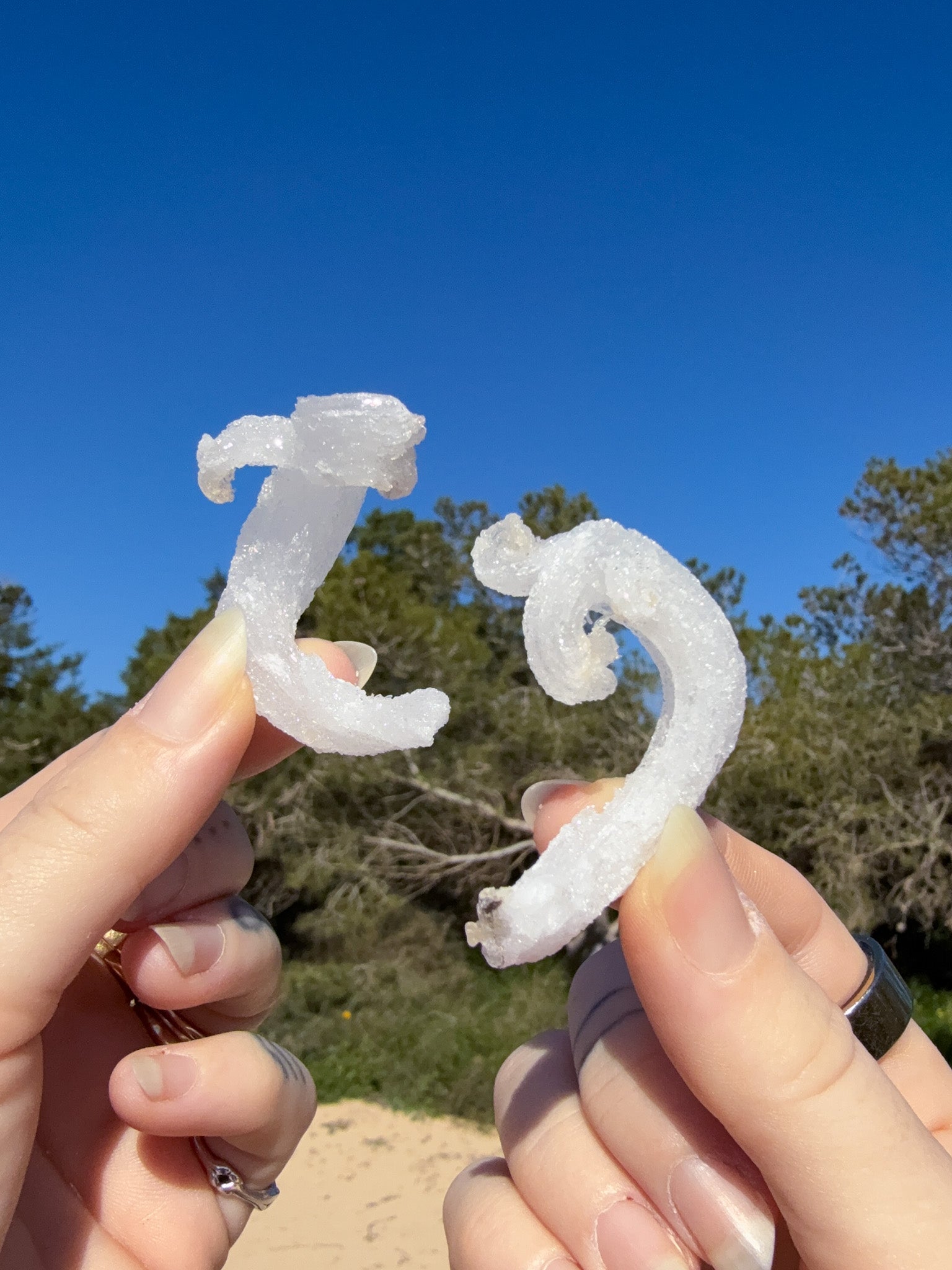 Two hands holding matching white sparkly raw rams horm selenite crystal against a bright blue sky with sandy ground and green trees in the background.