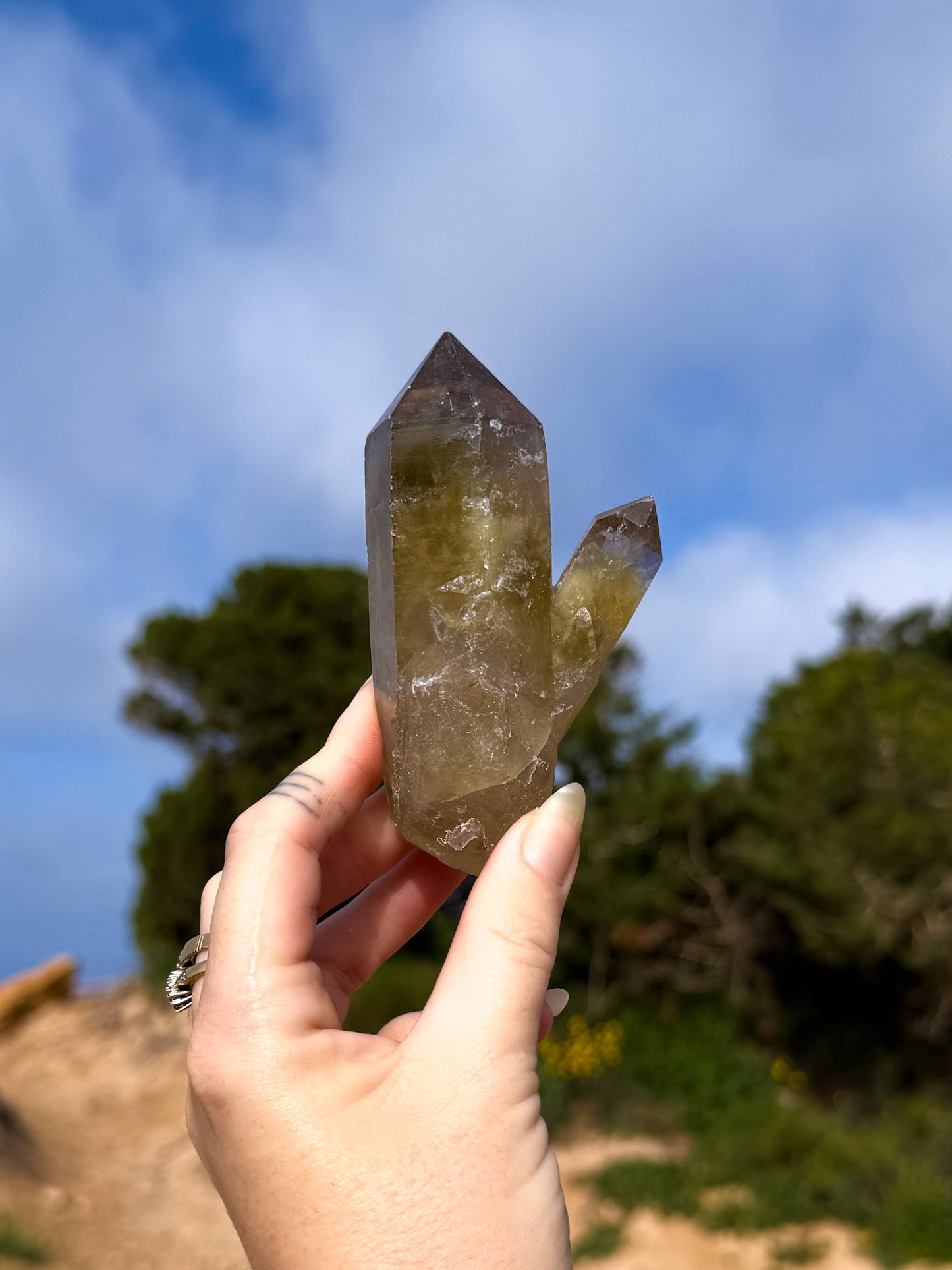 Hand holding a raw smoky citrine double point crystal against a natural background with trees and blue sky.