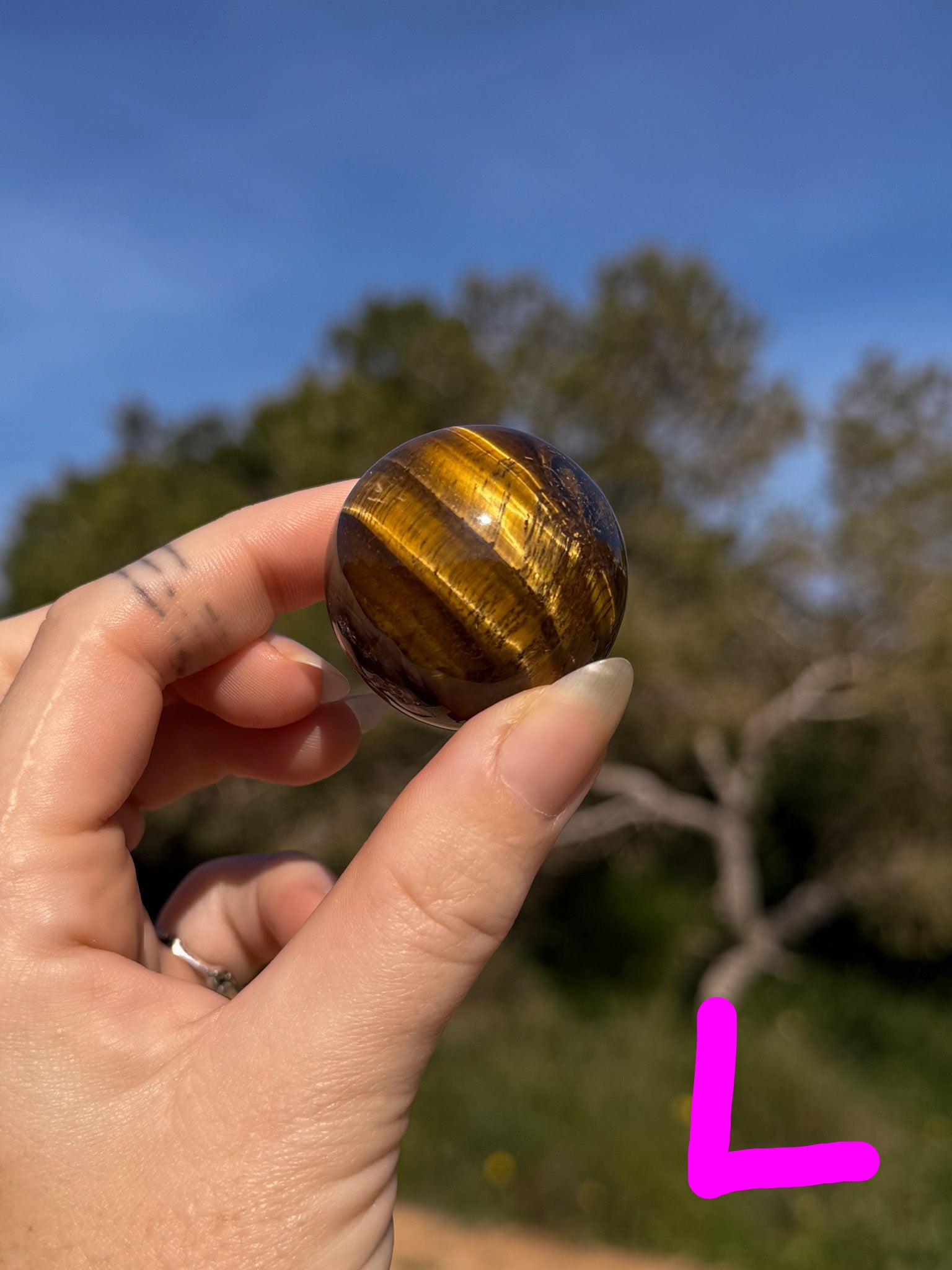 Hand holding a tiger's eye crystal sphere with bright gold banding against a natural outdoor background