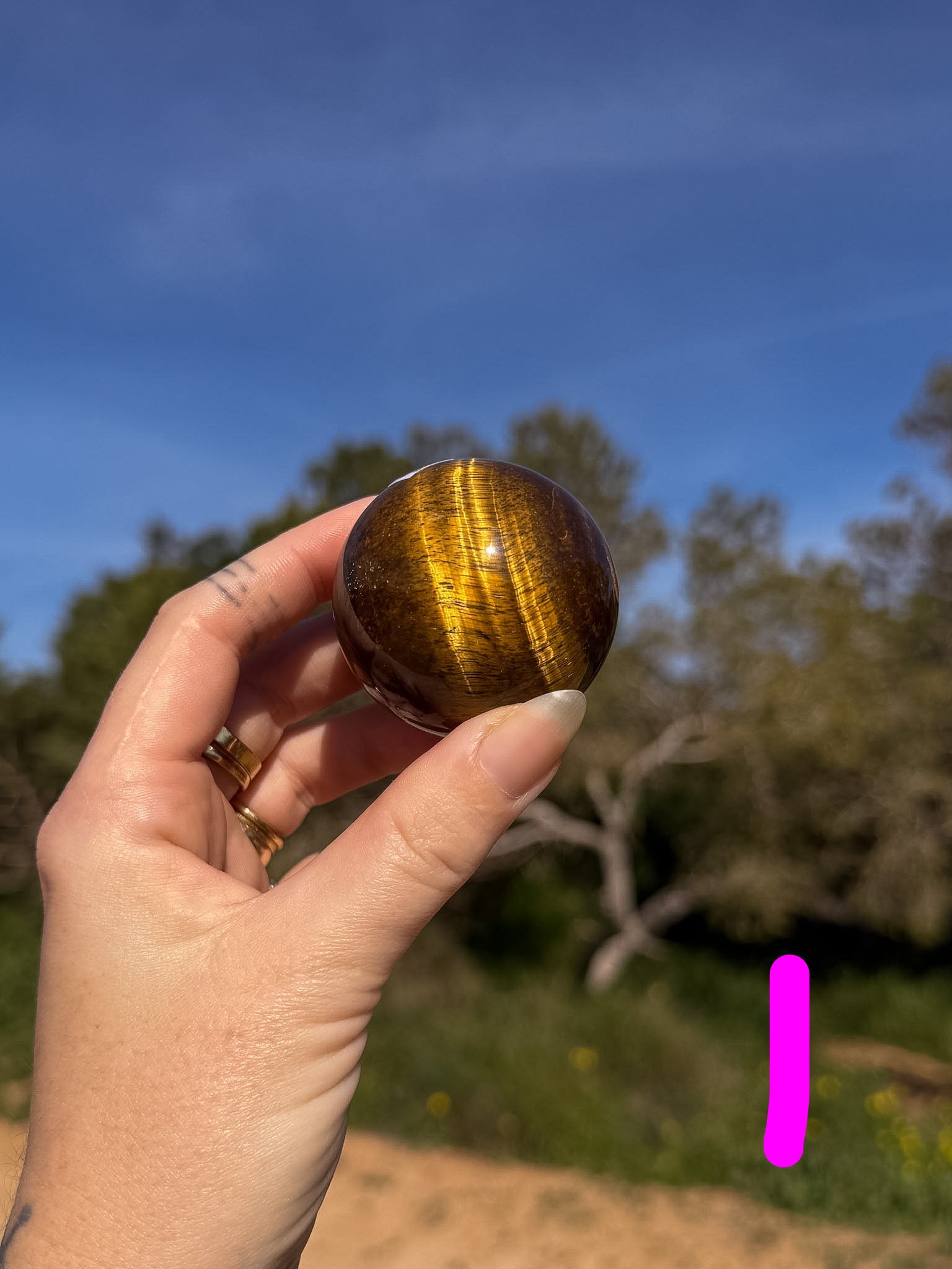 Hand holding a tiger's eye crystal sphere with bright gold banding against a natural outdoor background