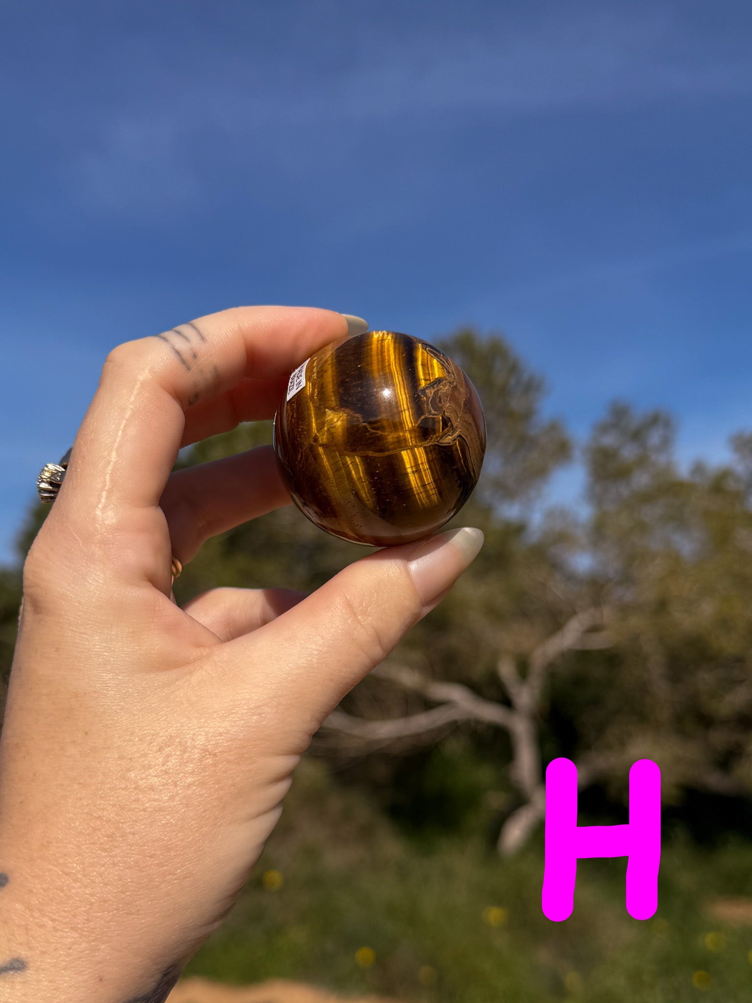 Hand holding a tiger's eye crystal sphere with bright gold banding against a natural outdoor background