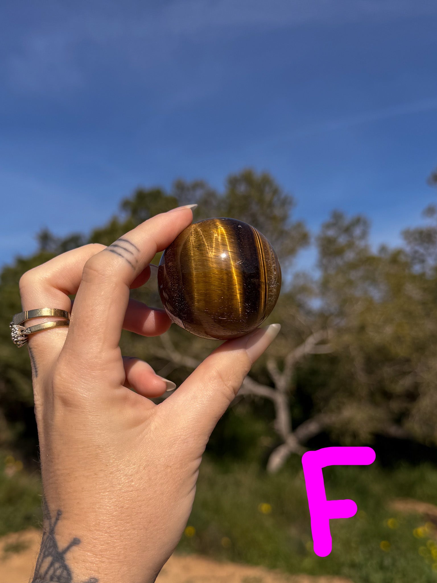 Hand holding a tiger's eye crystal sphere with bright gold banding against a natural outdoor background