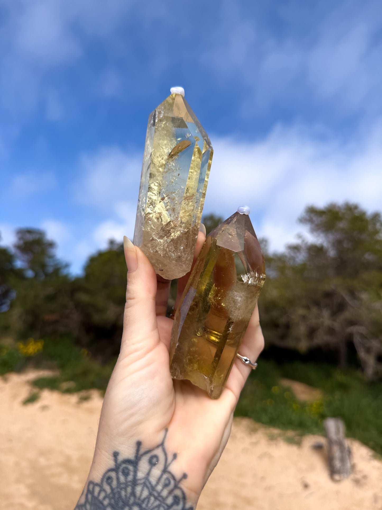Hand holding two golden yellow brazilian citrine crystal points with a natural outdoor background