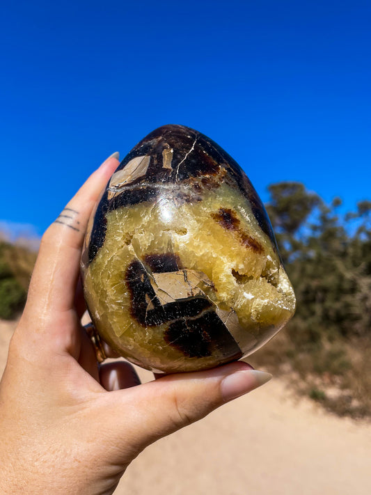 Septarian Eggs, dino eggs