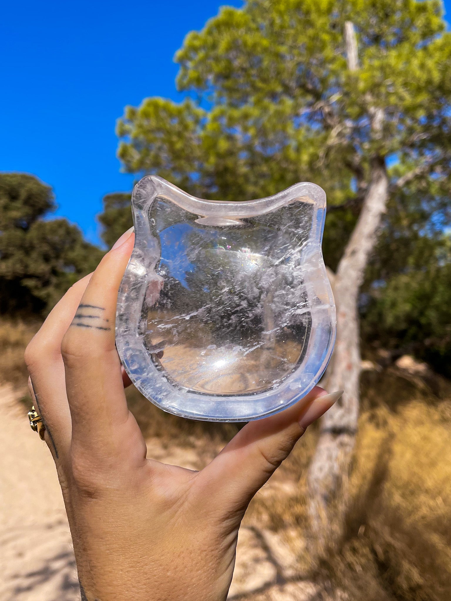 A hand holding one cat-shaped crsytal bowl made from clear quartz, with a background of a natural outdoor setting.