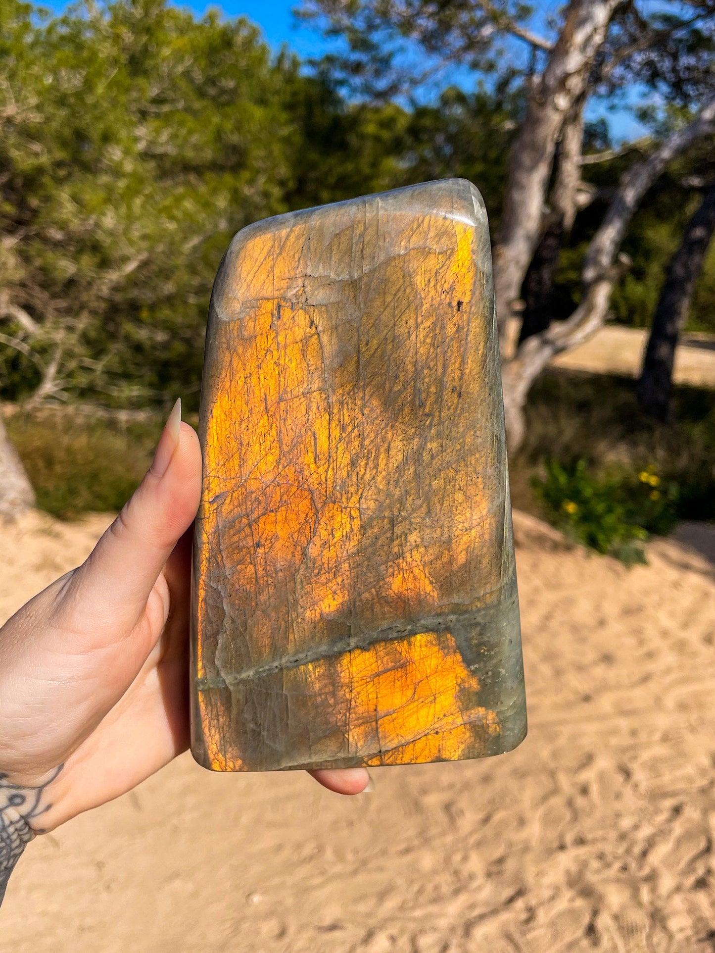 hand holding a chunk of labradorite revealing a bright sunset coloured flash with a green and sandy natural background