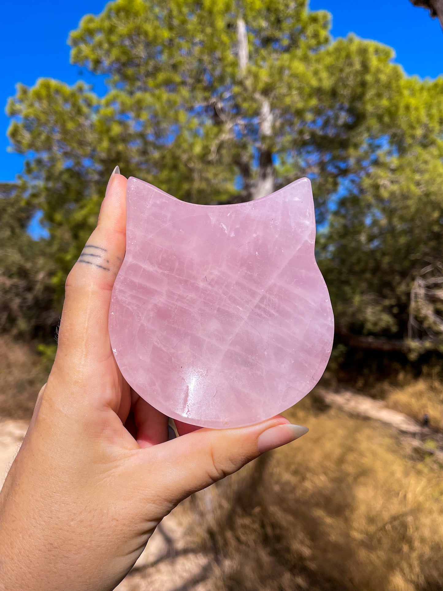 A hand holding one cat-shaped crsytal bowl made from rose quartz, with a background of a natural outdoor setting.