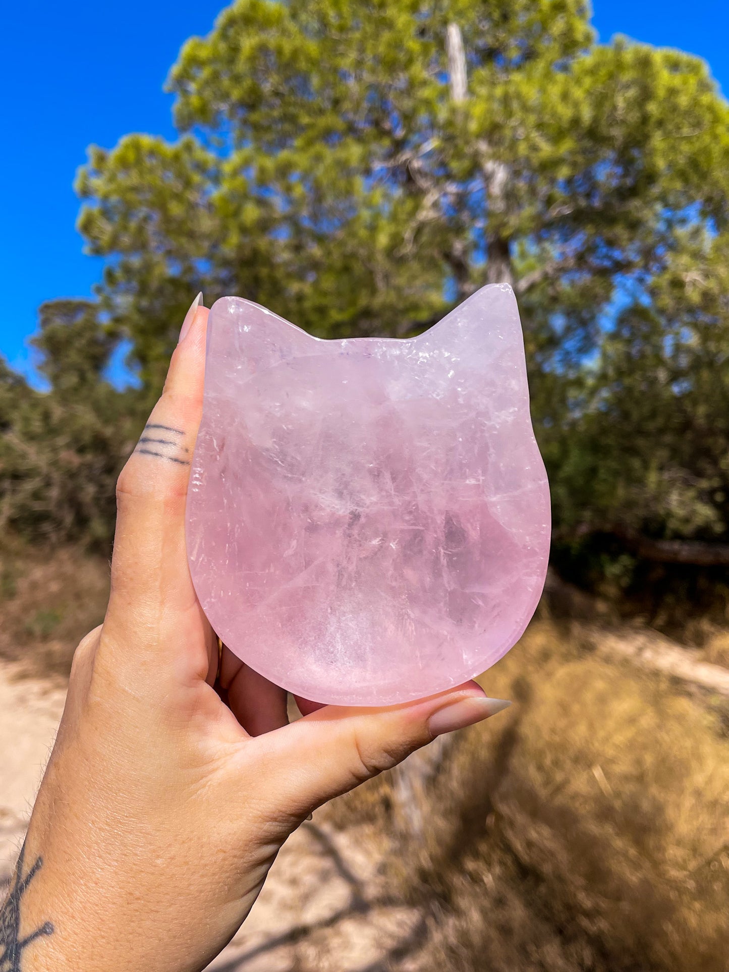 A hand holding one cat-shaped crsytal bowl made from rose quartz, with a background of a natural outdoor setting.